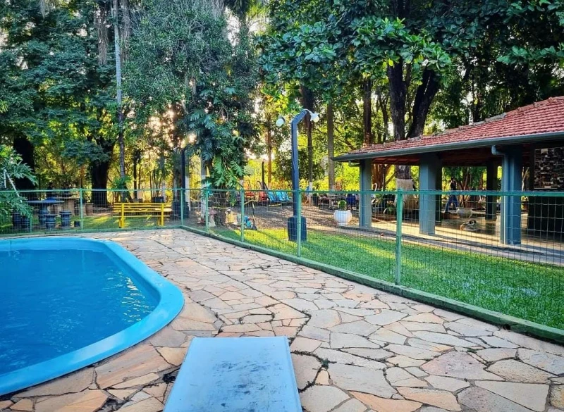 Desintoxicação do álcool no organismo no Mato Grosso do Sul